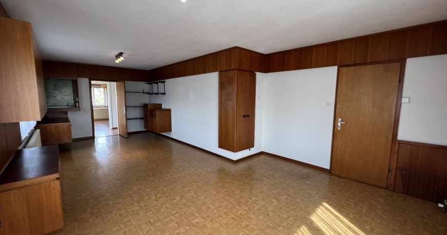 vente Maison Neuwiller