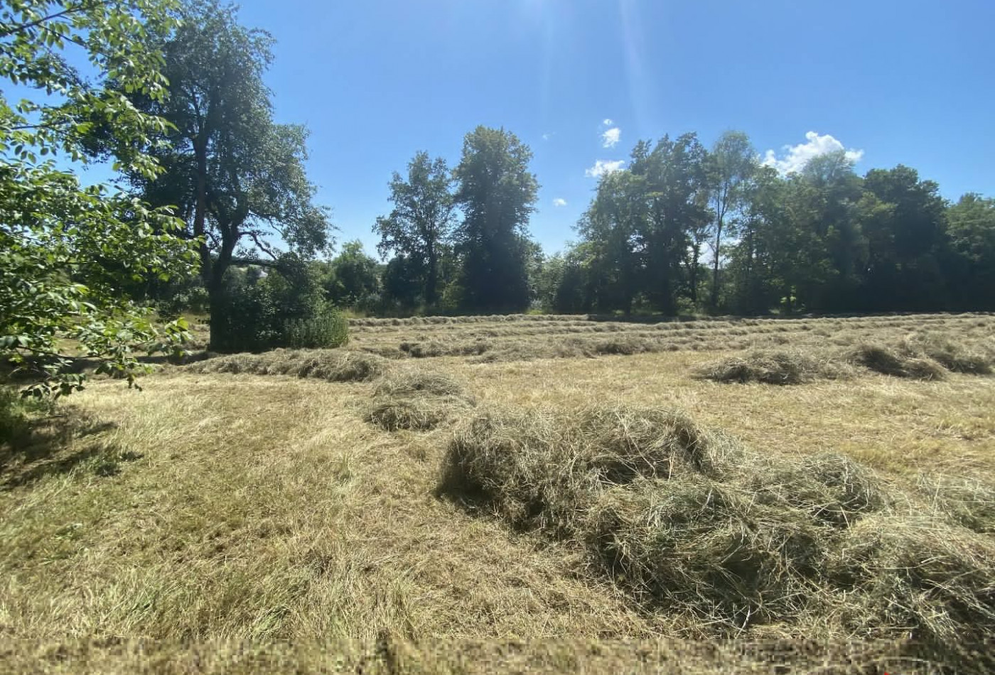 vente Terrain Muespach - Photo 5