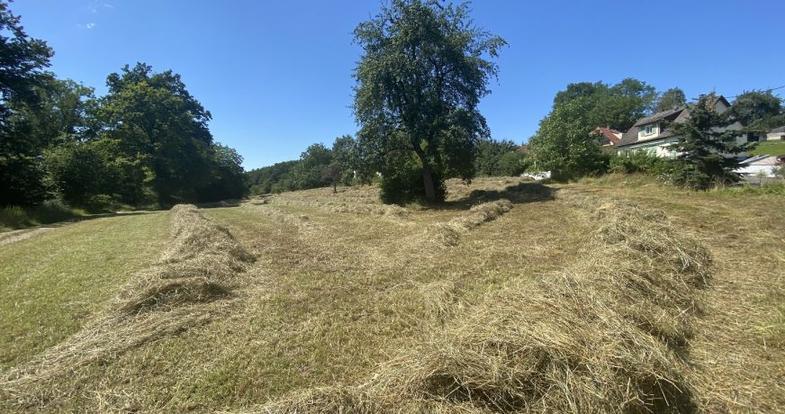 vente Terrain Muespach