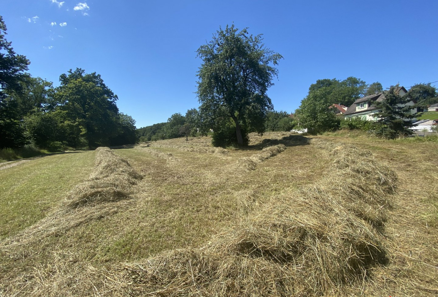 vente Terrain Muespach - Photo 4