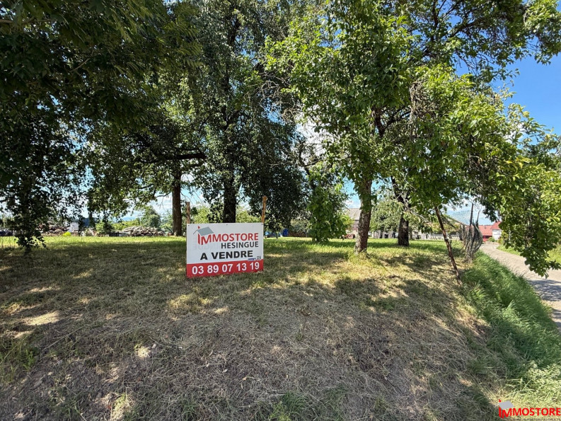 vente Terrain Muespach Le Haut - Photo 3