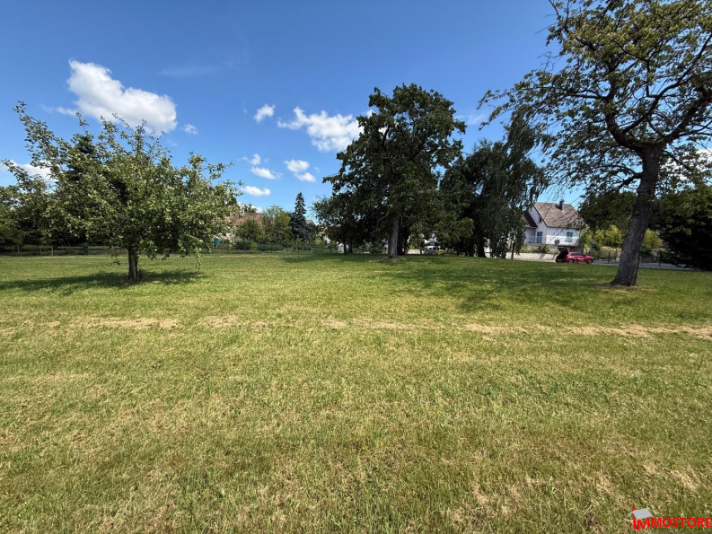 à vendre Terrain Muespach Le Haut - Photo 5