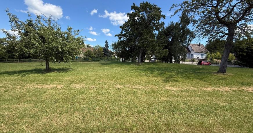 vente Terrain Muespach Le Haut