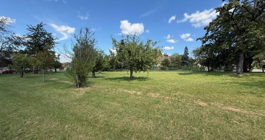 vente Terrain Muespach Le Haut