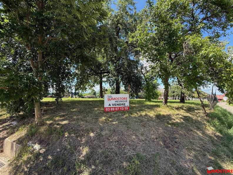 à vendre Terrain Muespach Le Haut - Photo 2