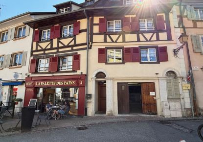 vente Immeuble Ferrette