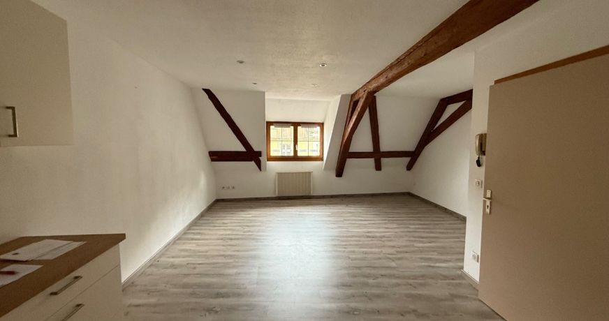 vente Immeuble Ferrette