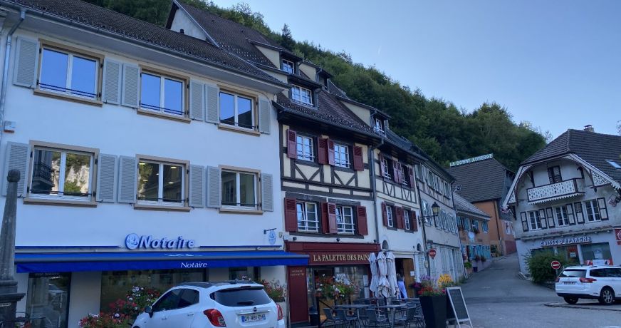 vente Immeuble Ferrette