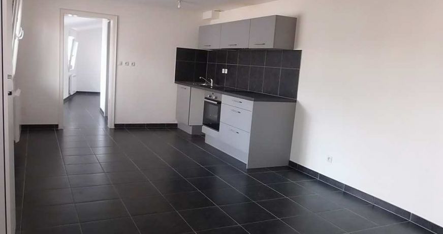 vente Maison Hegenheim