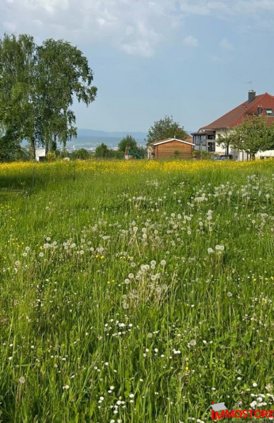 vente Terrain Folgensbourg - Photo 5