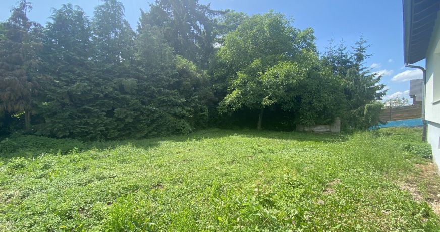 vente Maison Bettlach