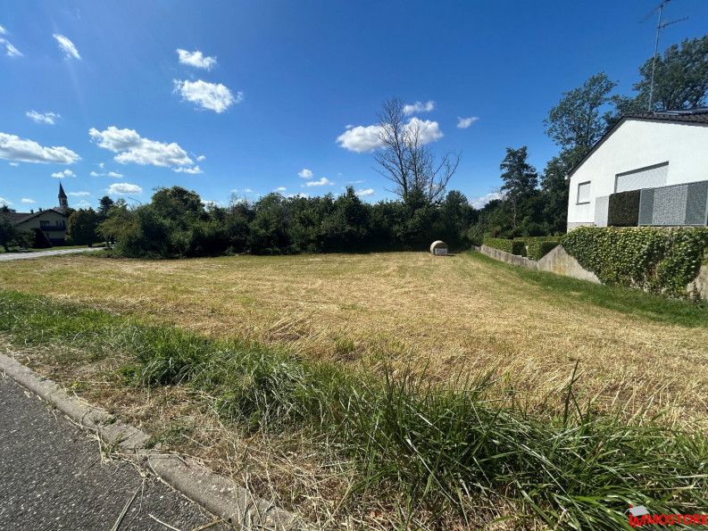 à vendre Terrain Michelbach Le Haut - Photo 2