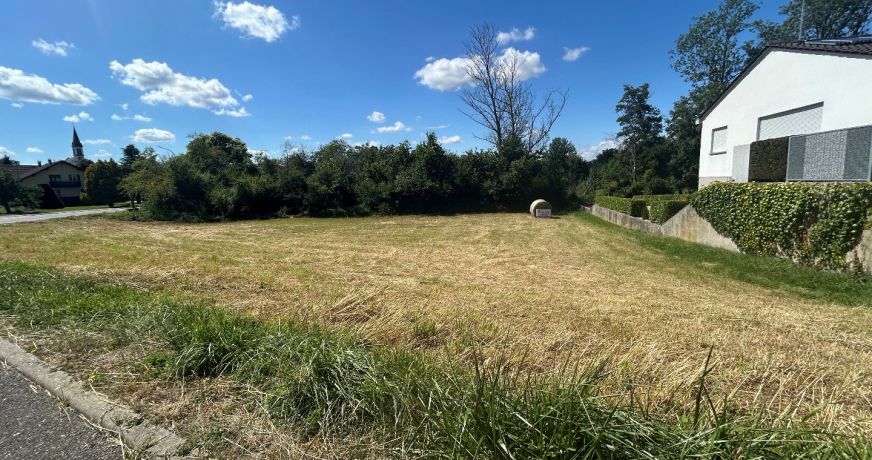 vente Terrain Michelbach Le Haut