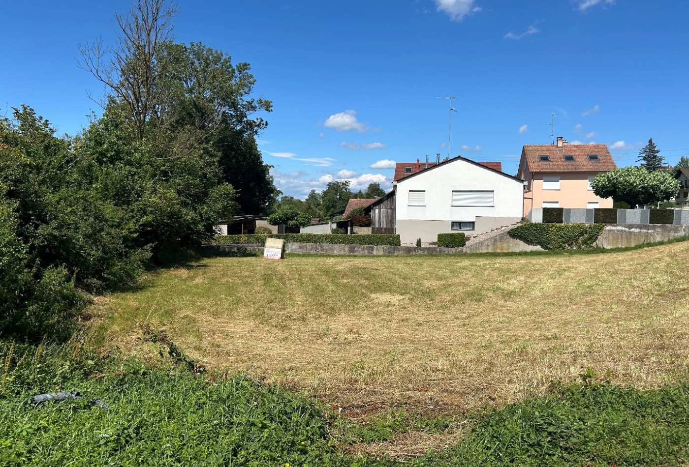 vente Terrain Michelbach Le Haut - Photo 4