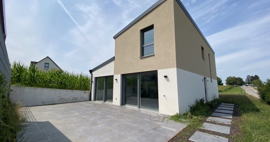 vente Maison Wentzwiller