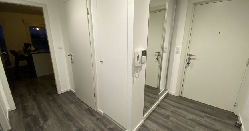 location Appartement Illzach