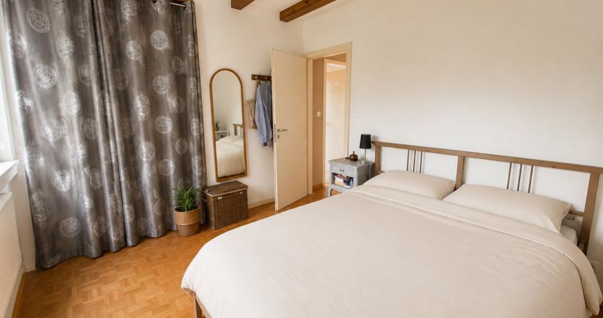 vente Maison Hegenheim