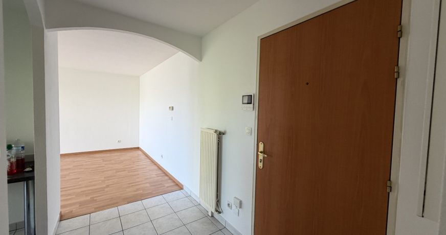 location Appartement Hesingue
