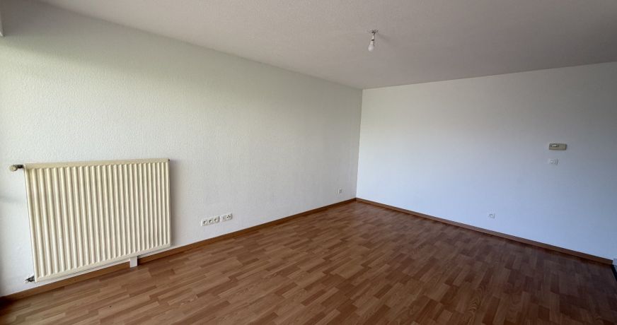 location Appartement Hesingue