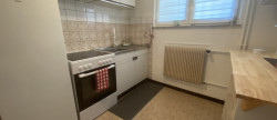 location Appartement Steinsoultz