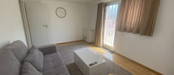 location Appartement Steinsoultz