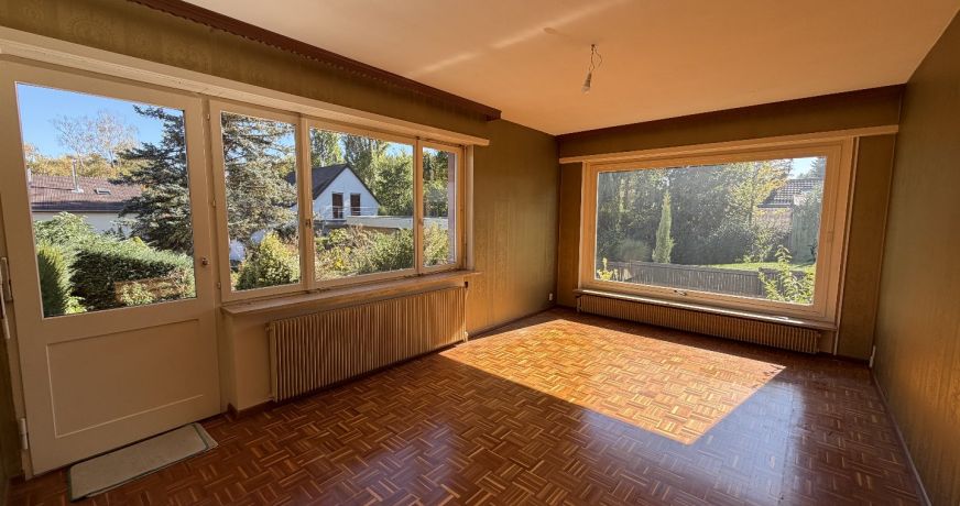 vente Maison Hesingue