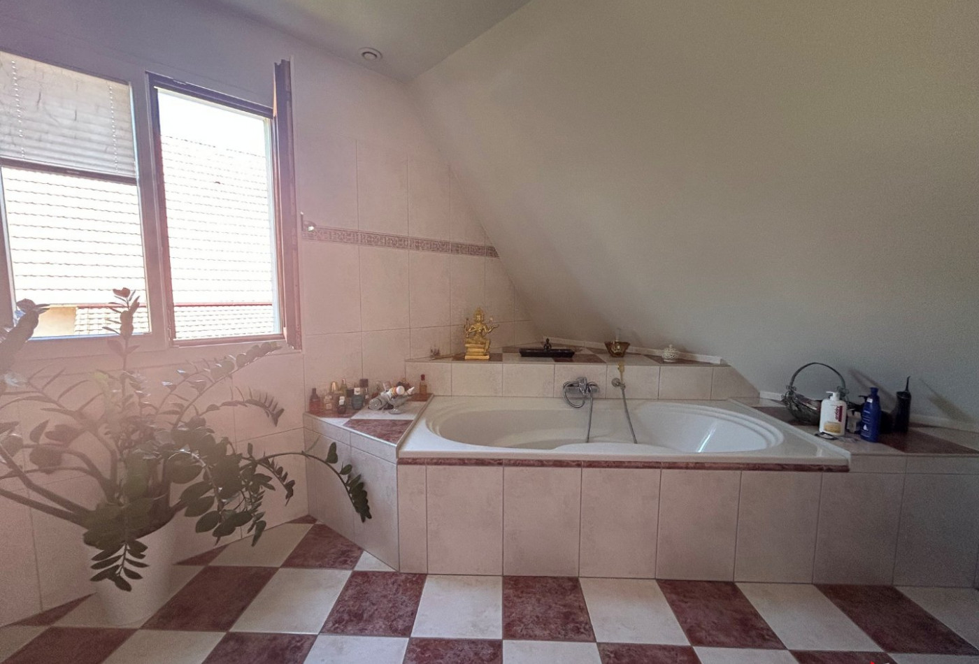vente Maison Hegenheim - Photo 9