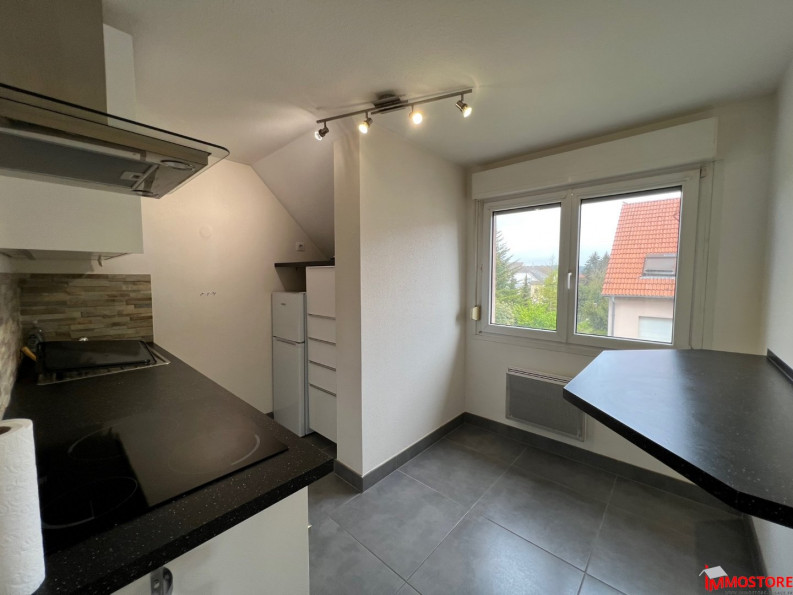 location Appartement Blotzheim - Photo 3