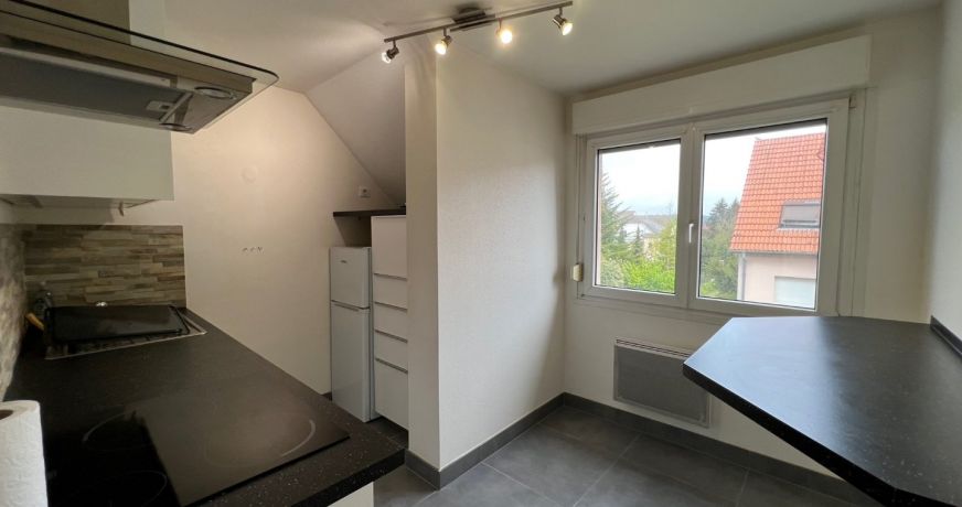 location Appartement Blotzheim