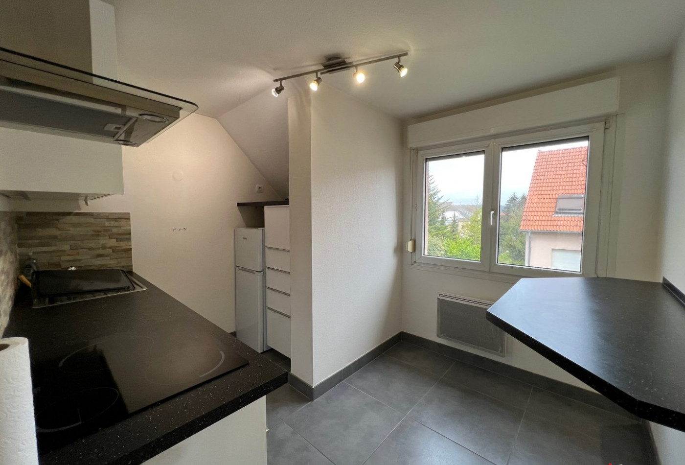 location Appartement Blotzheim - Photo 3