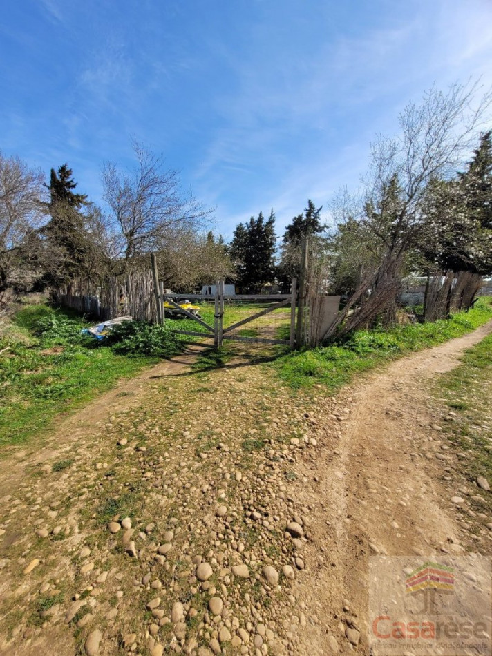 à vendre Terrain agricole Manduel - Photo 1