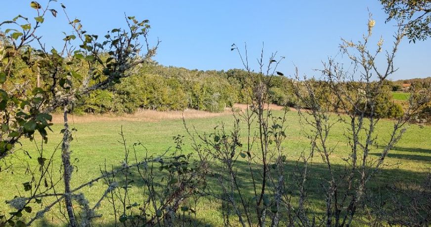 vente Ensemble immobilier Cenevieres