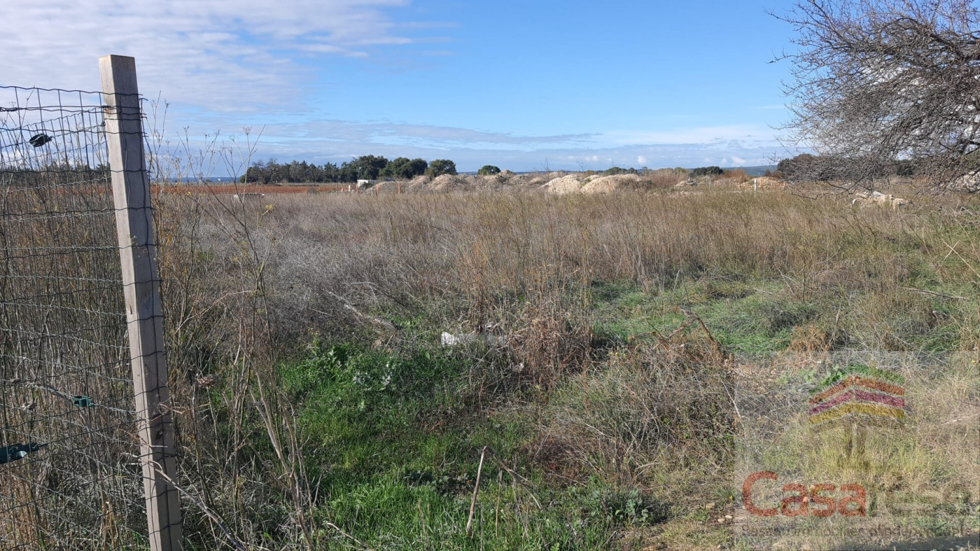 à vendre Terrain Manduel - Photo 2