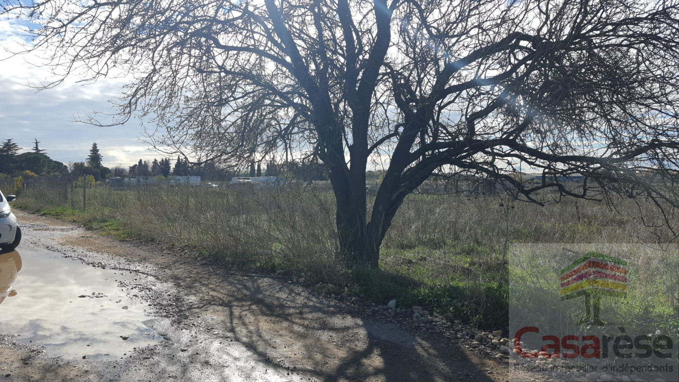 à vendre Terrain Manduel - Photo 1