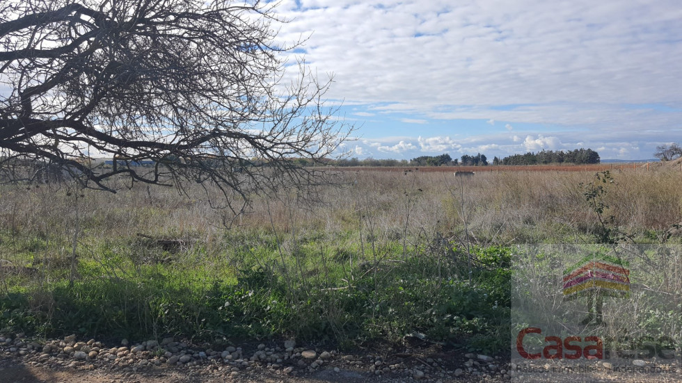 vente Terrain Manduel - Photo 2