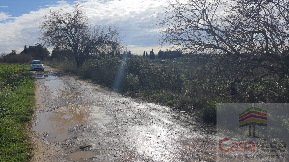 vente Terrain Manduel - Photo 4