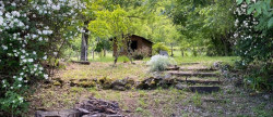 vente Maison de hameau La Souche