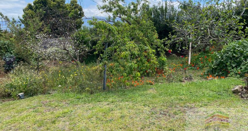 vente Maison Le Tampon