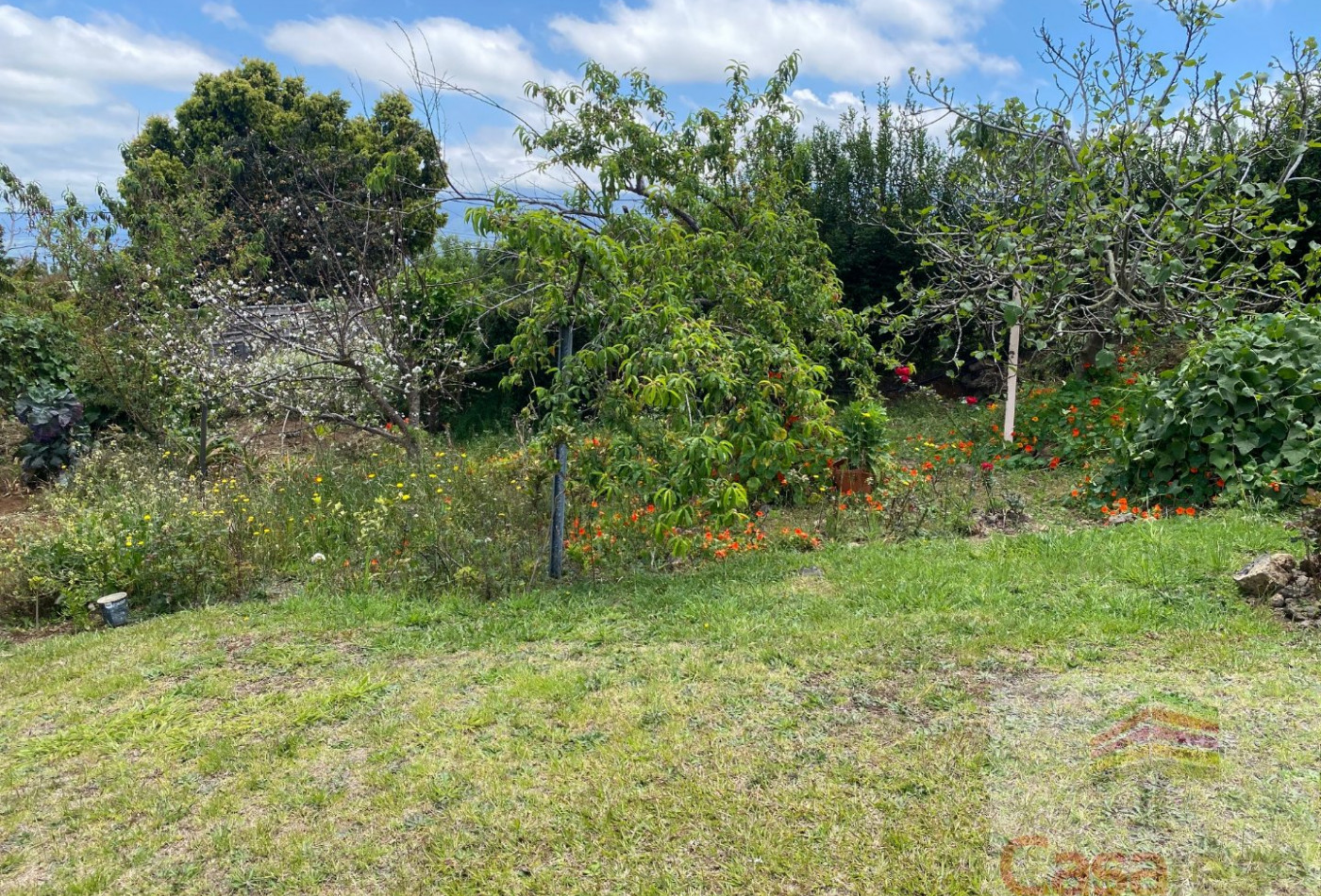 vente Maison Le Tampon - Photo 5