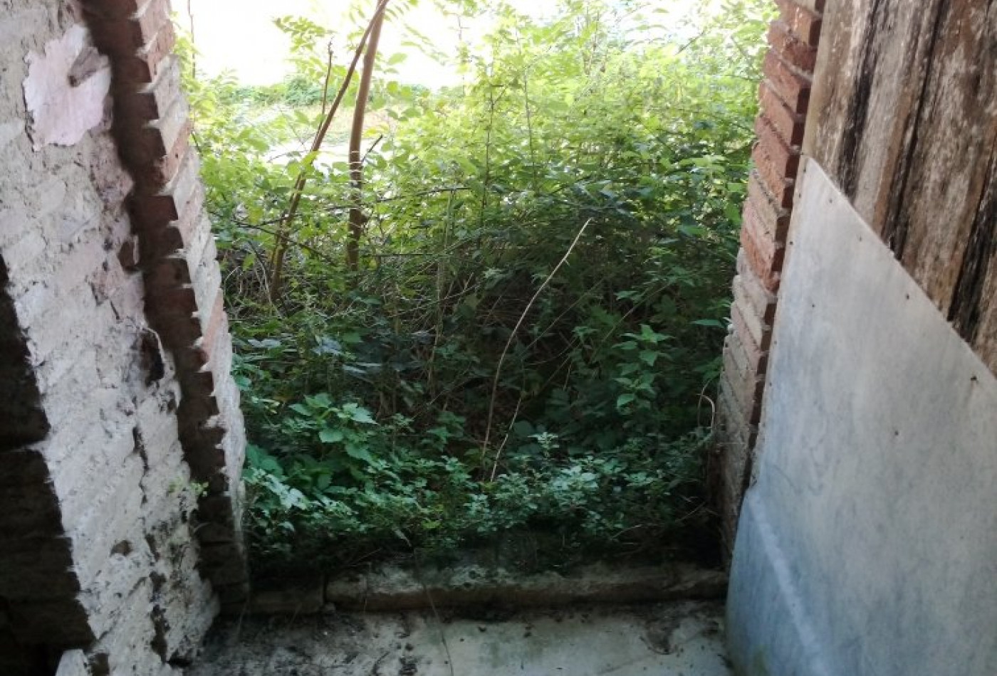 vente Immeuble à rénover Escazeaux - Photo 5