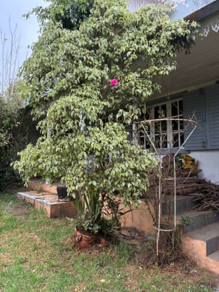 vente Maison à rénover La Plaine Des Cafres - Photo 3