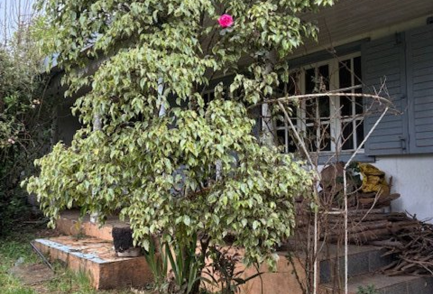 vente Maison à rénover La Plaine Des Cafres - Photo 3