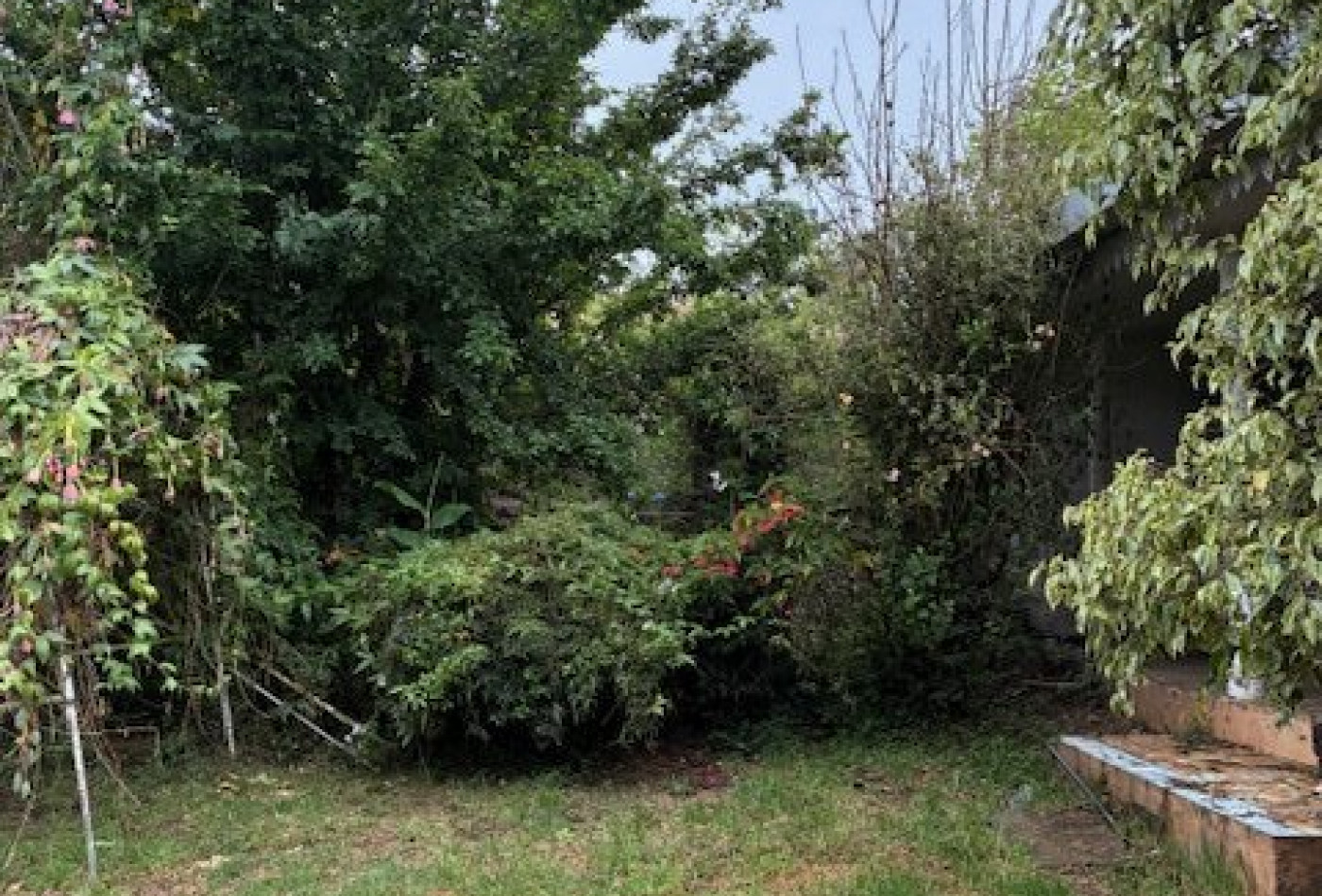 vente Maison à rénover La Plaine Des Cafres - Photo 4