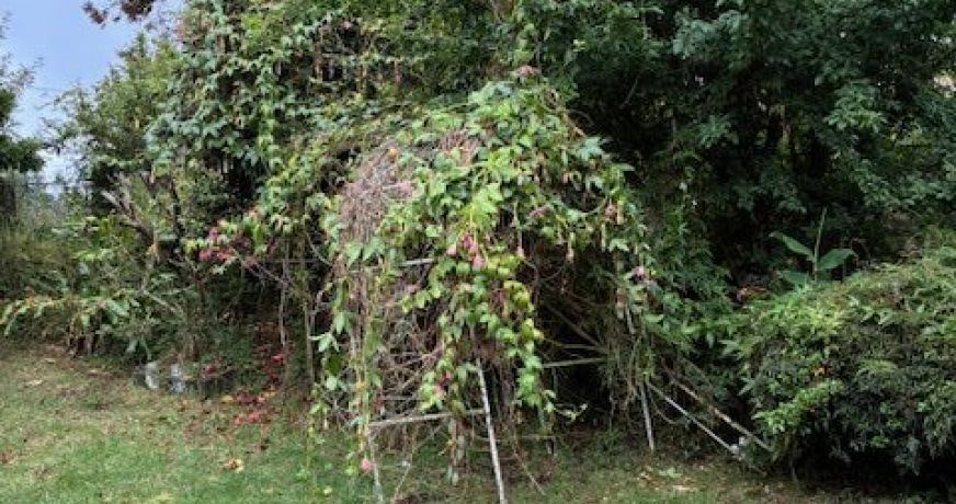 vente Maison à rénover La Plaine Des Cafres