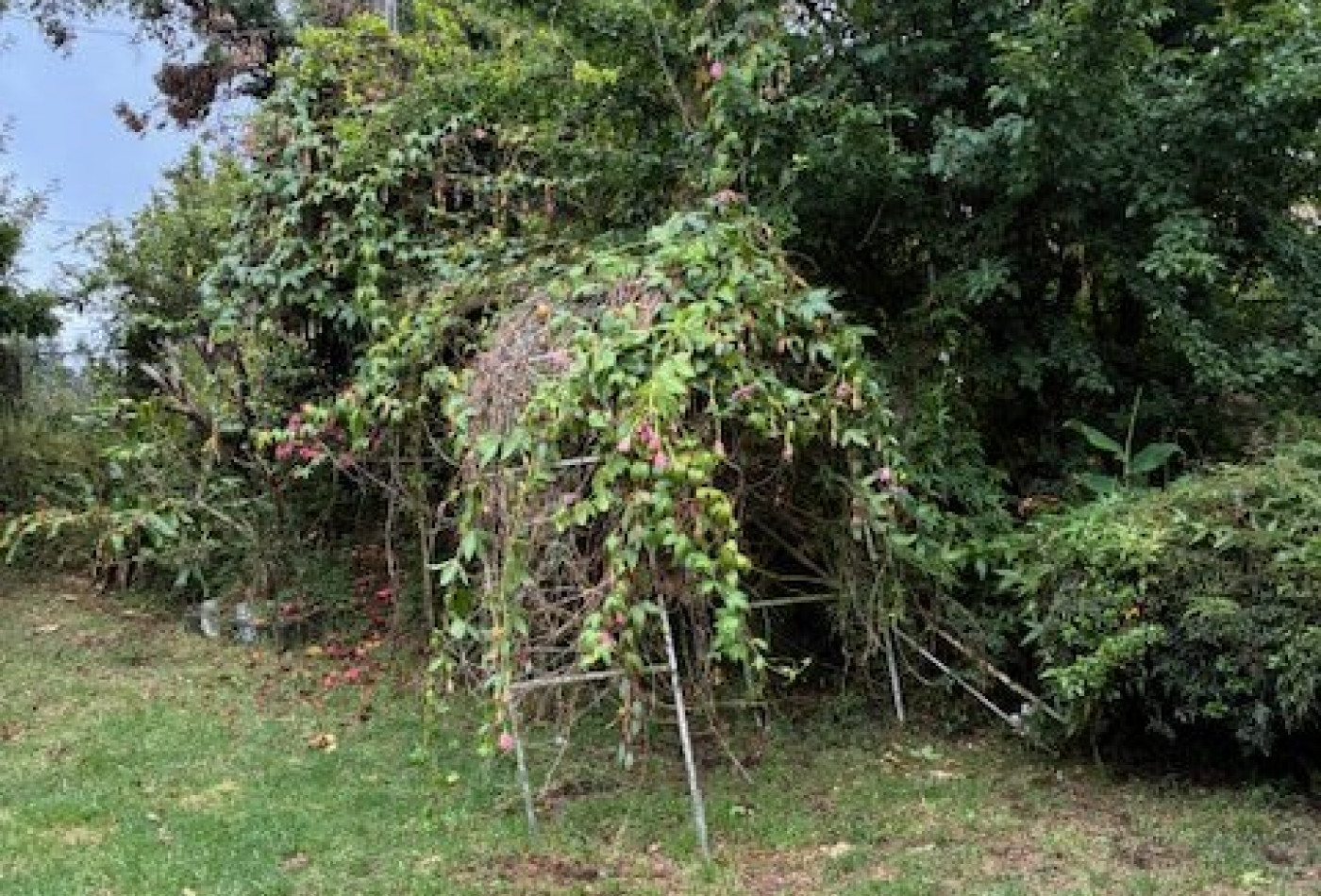 vente Maison à rénover La Plaine Des Cafres - Photo 5