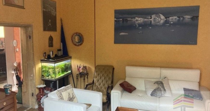 vente Appartement ancien Saint Didier Au Mont D'or