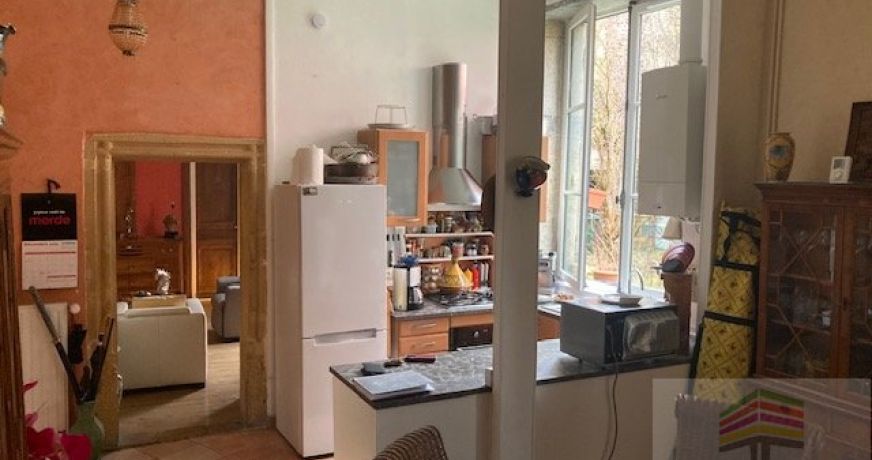 vente Appartement ancien Saint Didier Au Mont D'or