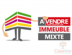 vente Immeuble commercial La Chapelle Saint Mesmin