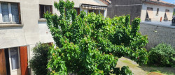 vente Maison de ville Labegude