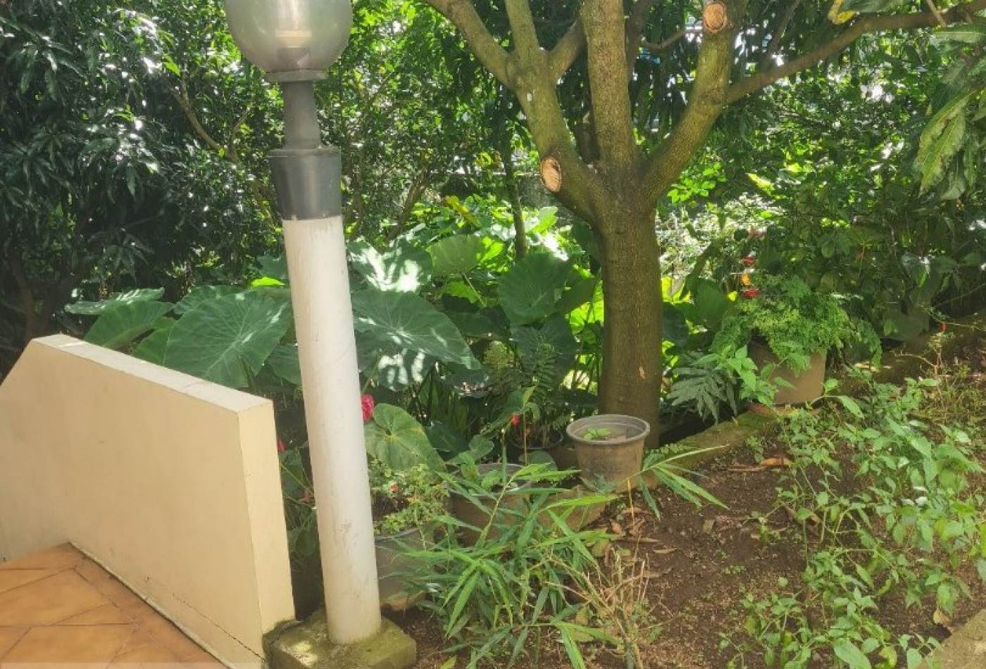 vente Maison individuelle Le Tampon - Photo 10